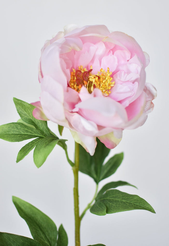 House by JSD 22" Faux Pink Peony Stem
