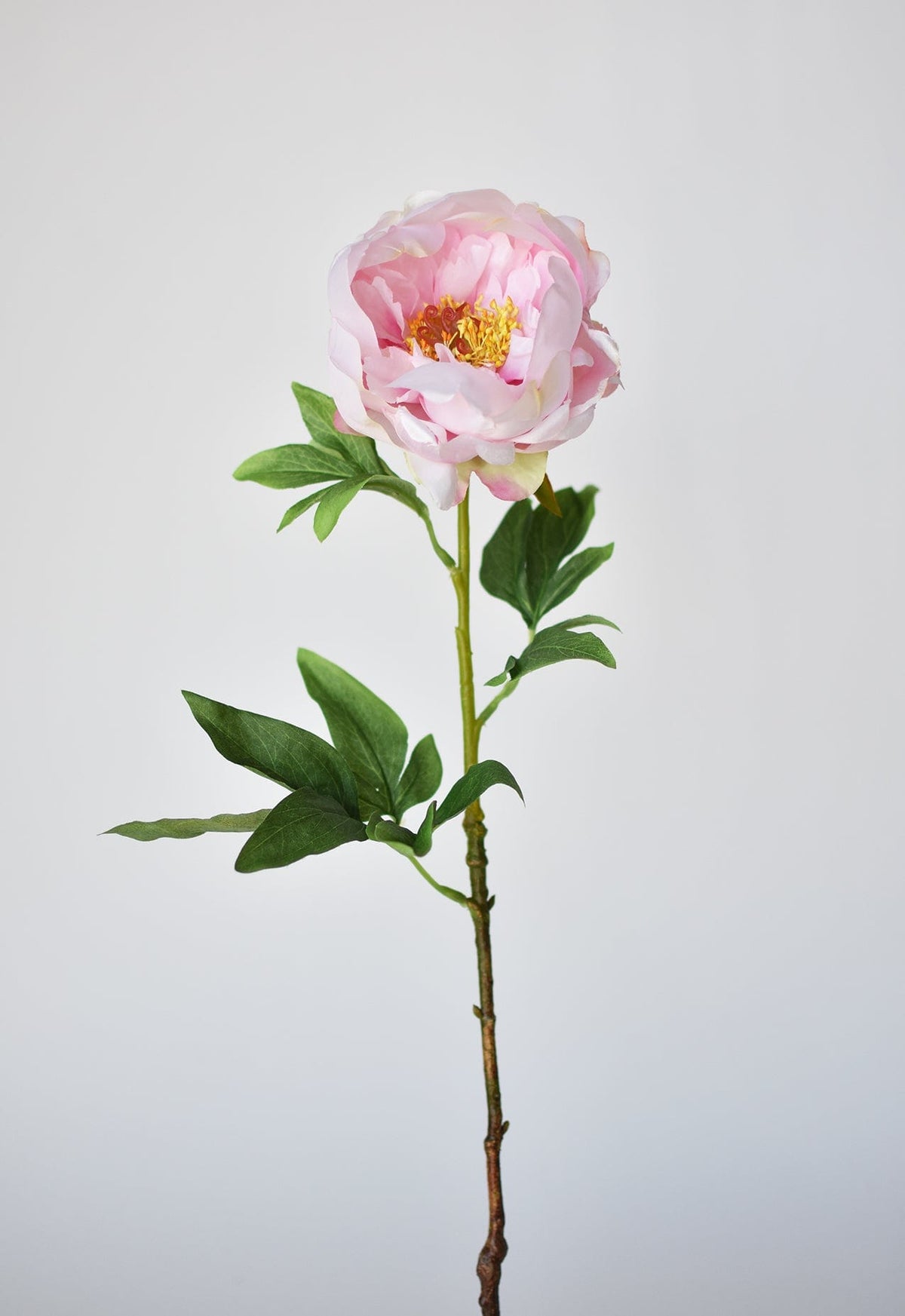 House by JSD 22" Faux Pink Peony Stem - view 2