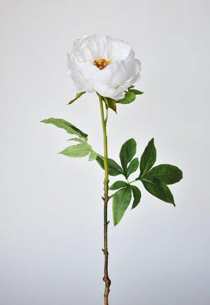 House by JSD 22" Faux White Peony Stem - view 2