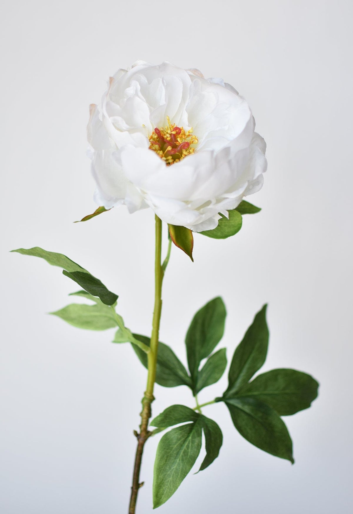 House by JSD 22" Faux White Peony Stem - view 3