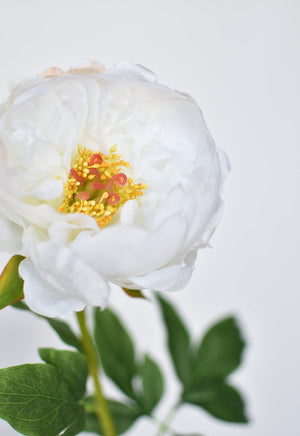 House by JSD 22" Faux White Peony Stem - view 6