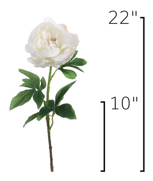 House by JSD 22" Faux White Peony Stem - view 7