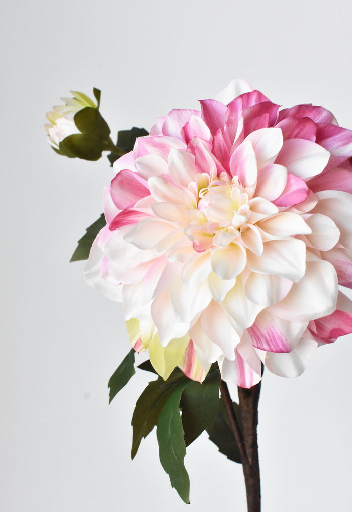 House by JSD 23.5" Faux Pink / Cream Dahlia w/Bud Stem