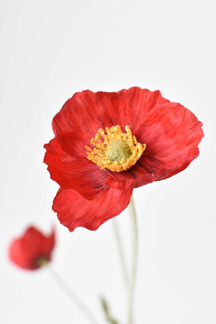 House by JSD 24" Faux Red Poppy Stem