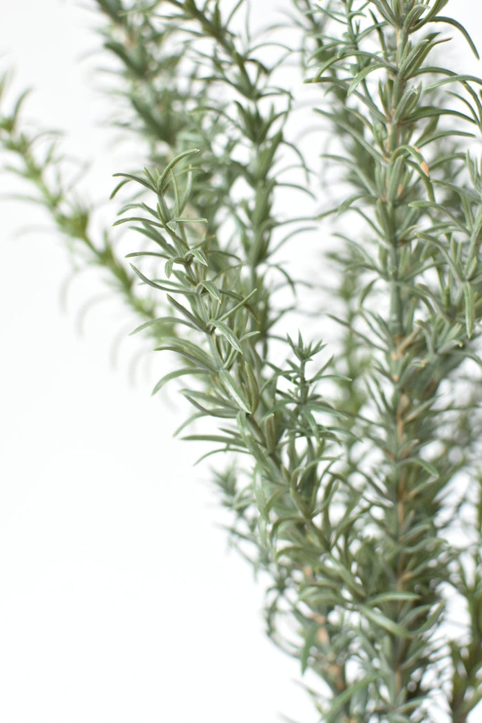 House by JSD 24" Faux Rosemary Bush