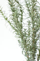 Artificial Flora