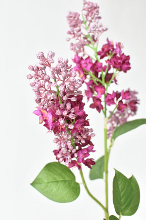 House by JSD 34.5" Faux Vibrant Pink/Purple Lilac Stem