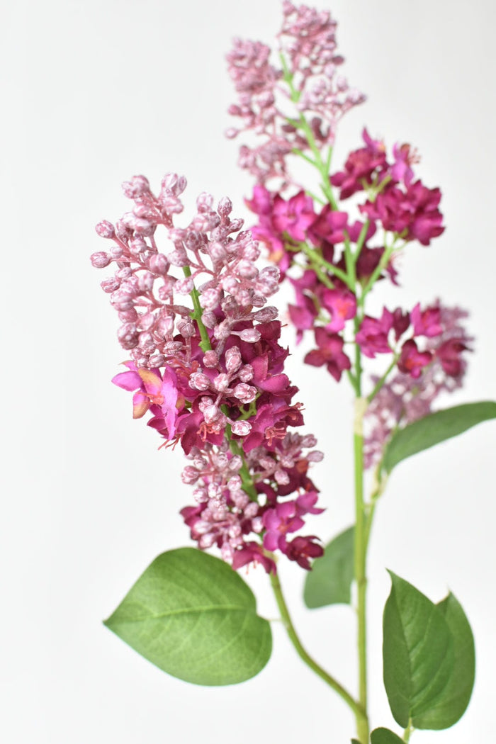 House by JSD 34.5" Faux Vibrant Pink/Purple Lilac Stem