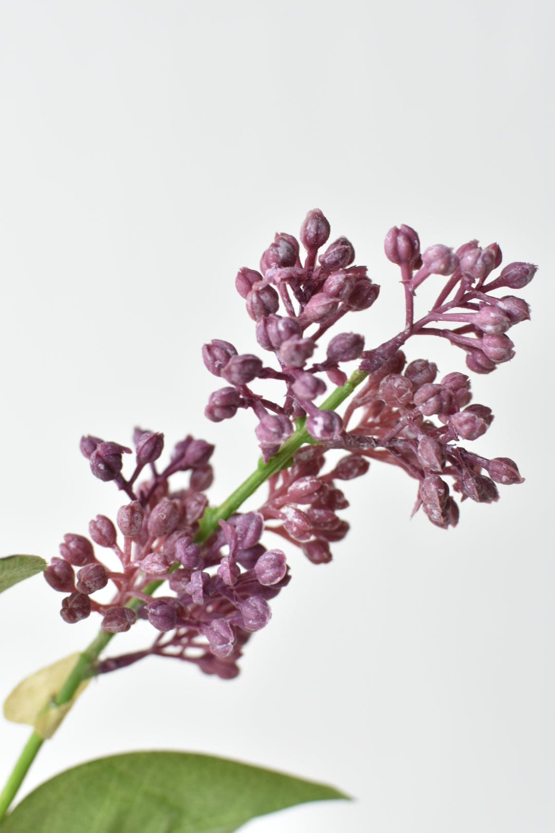 House by JSD 34.5" Faux Vibrant Pink/Purple Lilac Stem - view 5