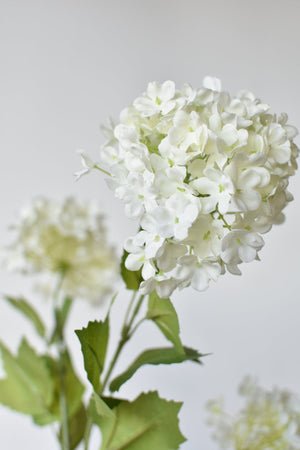 House by JSD 34" Faux White Snowball Hydrangea Stem