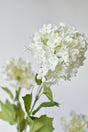 House by JSD 34" Faux White Snowball Hydrangea Stem