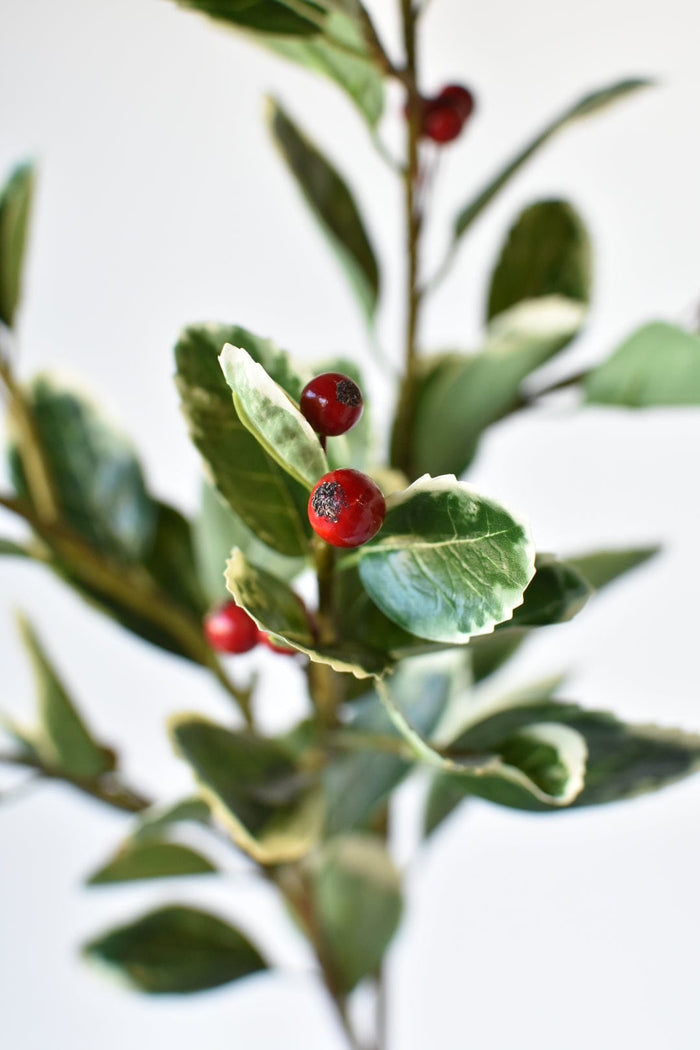 House by JSD 37" Faux Variegated Holly Branch