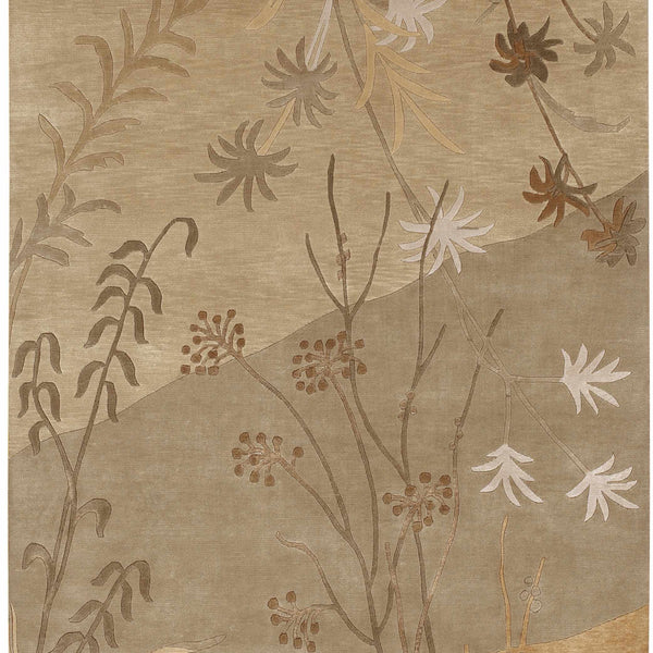 Imlay Area Carpet - Clearance