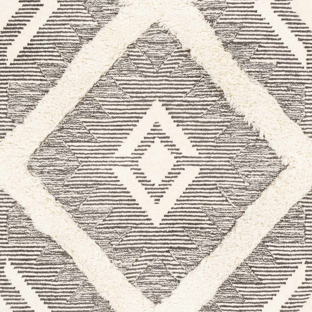 Imnaha Area Rug - Clearance