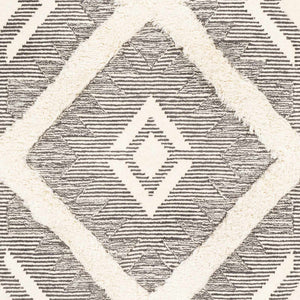 Imnaha Area Rug - Clearance