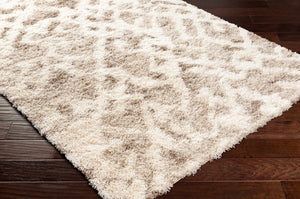 Jase Shag Area Rug