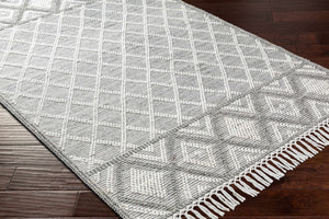 Jaya Area Rug - Clearance