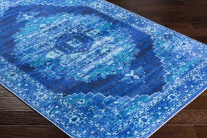 Jonesboro Area Rug - Clearance