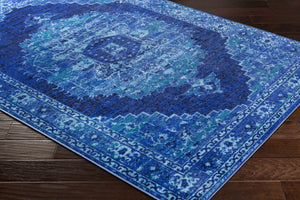 Jonesboro Area Rug - Clearance