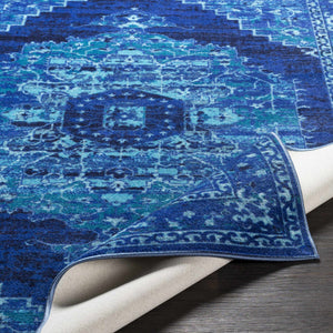 Jonesboro Area Rug - Clearance