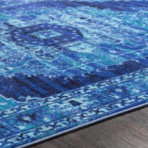 Jonesboro Area Rug - Clearance