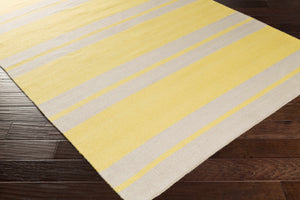 Kaplan Area Rug - Clearance