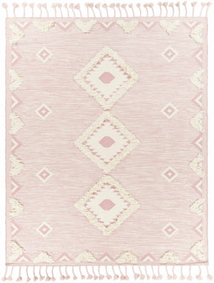 Gardner Pink Wool Tassel Rug - Clearance