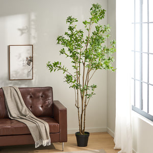 240cm Artificial Pieris Tree