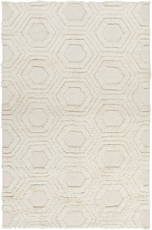 Kearsarge Area Rug - Clearance