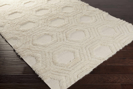 Kearsarge Area Rug - Clearance
