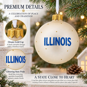 Illinois State, USA Glass Ball Christmas Ornament 4 Inches