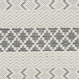 Limoges Area Carpet - Clearance