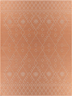 Lisarow Flatweave Area Carpet - Clearance