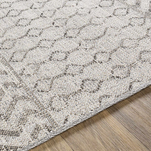 Landis Area Rug - Clearance