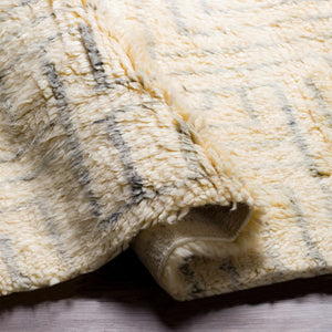 Longstanton Area Rug - Clearance