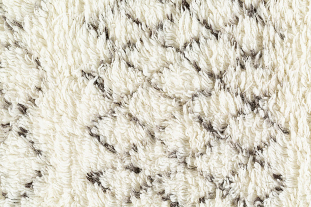 Lochwinnoch Area Rug - Clearance
