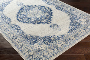 Loda Area Rug - Clearance
