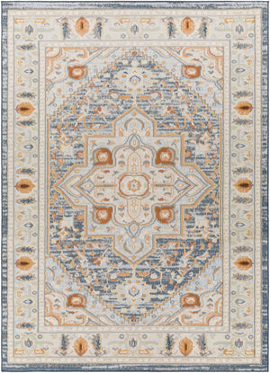 Looc Area Rug - Clearance