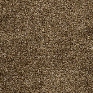 Lyles Area Carpet - Clearance
