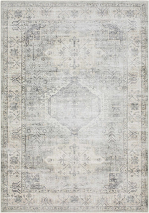 Laran Sage Distressed Washable Area Rug