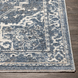 Buguey Blue Area Rug - Clearance