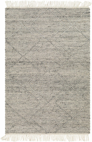 Gray Malilipot Wool Blend Braided Tassel Area Rug - Clearance