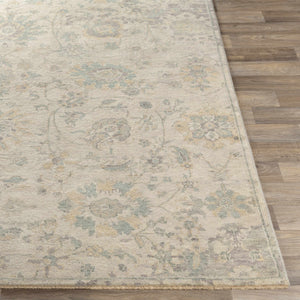 Maybee Area Rug - Clearance