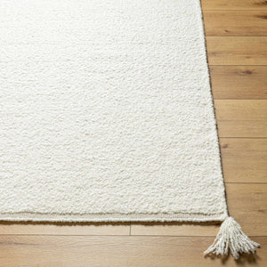 Niabi Area Rug - Clearance