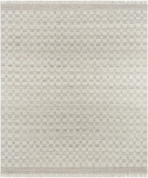 Meira Medium Gray Area Rug - Clearance