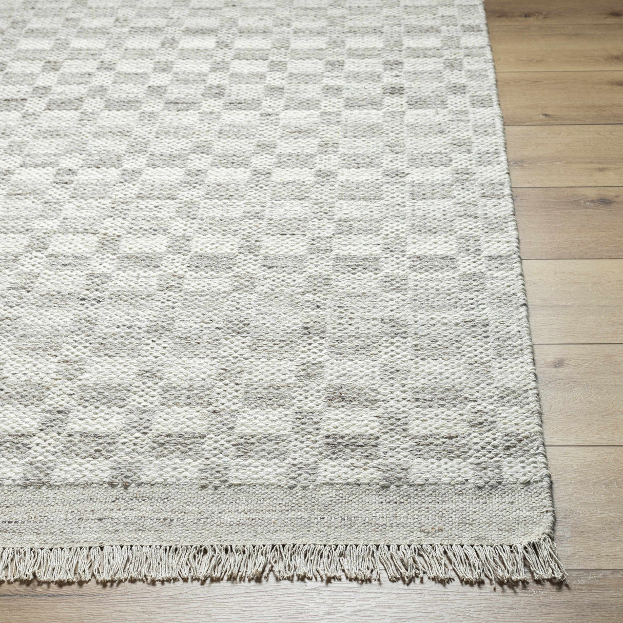 Meira Medium Gray Area Rug - Clearance