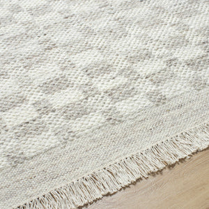 Meira Medium Gray Area Rug - Clearance