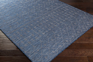 Maddingley Flatweave Area Carpet - Clearance