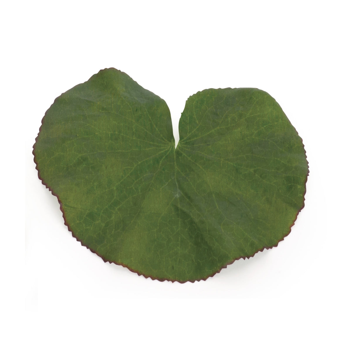 Melrose International Assorted Bag of Leaves Filler (Set of 12)