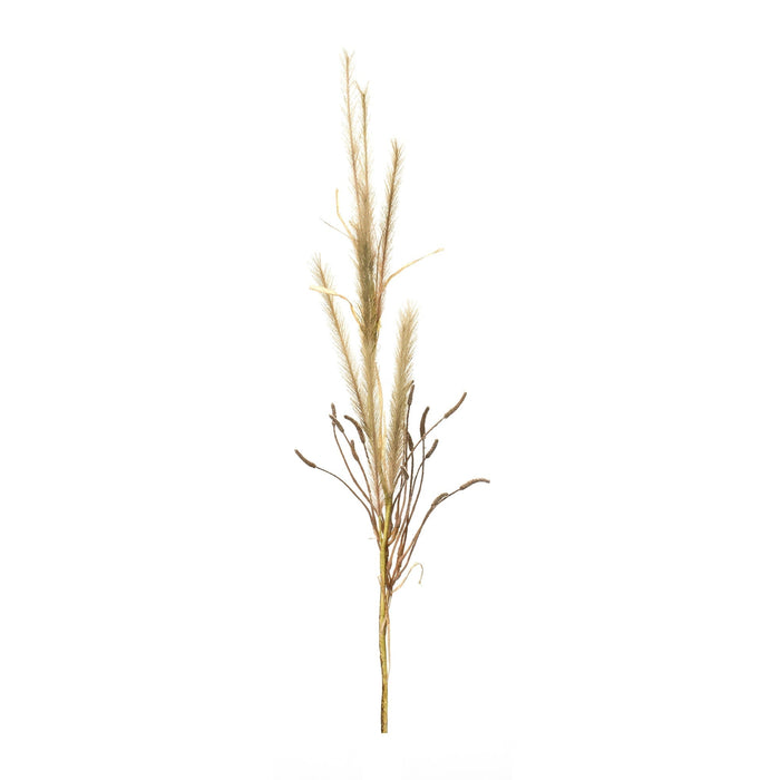 Melrose International Foxtail Grass Spray (Set of 2) in Brown